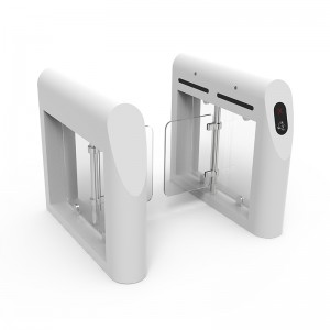 Ворота Томаса